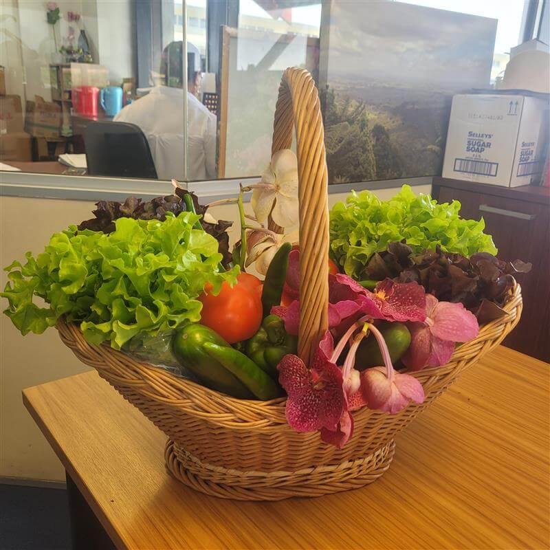 Sunshine Mix Vegetable Hampers $65