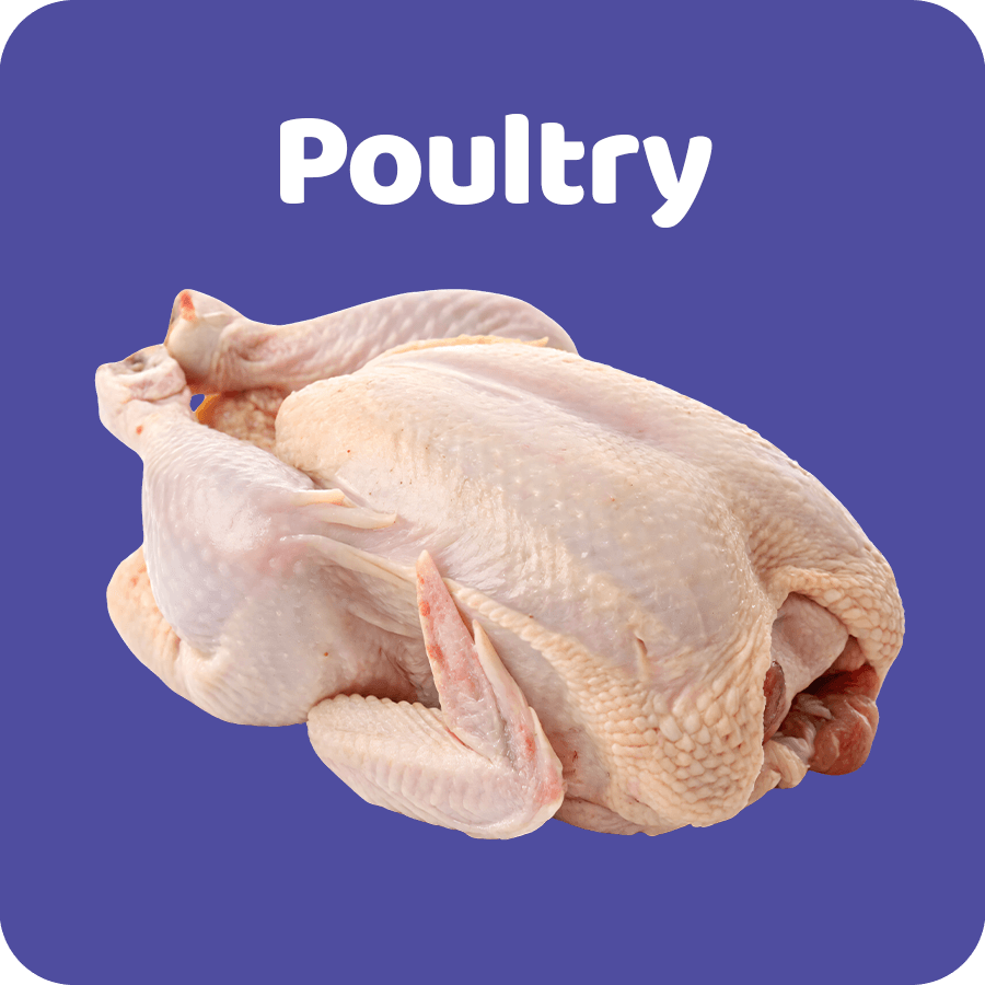 Poultry