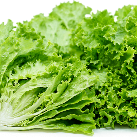 Tropical Lettuce